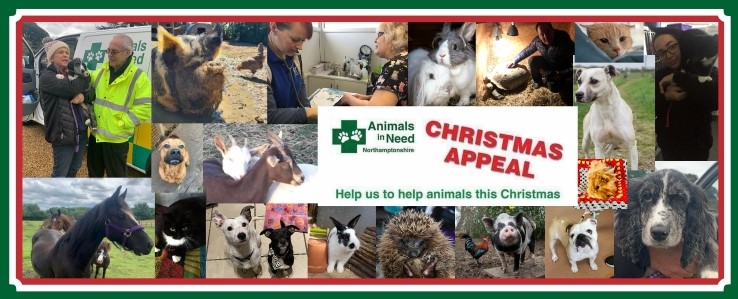 Animals in Need